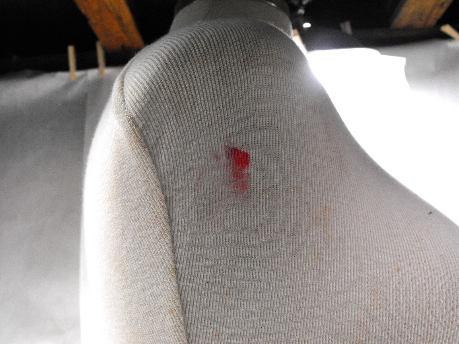Cloth Covered Mannequin Torso Stains eBay