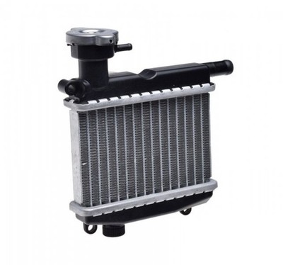 Wasserkühler Kühler YAMAHA BX NS XF YN YW 50 AEROX NEOS GEAR BOOSTER ZUMA VOX BW