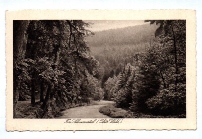 Ak Fin Schwarzatal Thüringer Wald