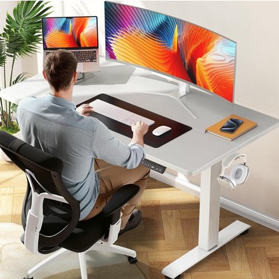 Electric Standing Desk Home Office Height Adjustable Computer Ergonomic Table