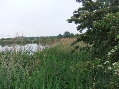 Foto 6x4 Far Ings Reserve Barton-Upon-Humber um 2018