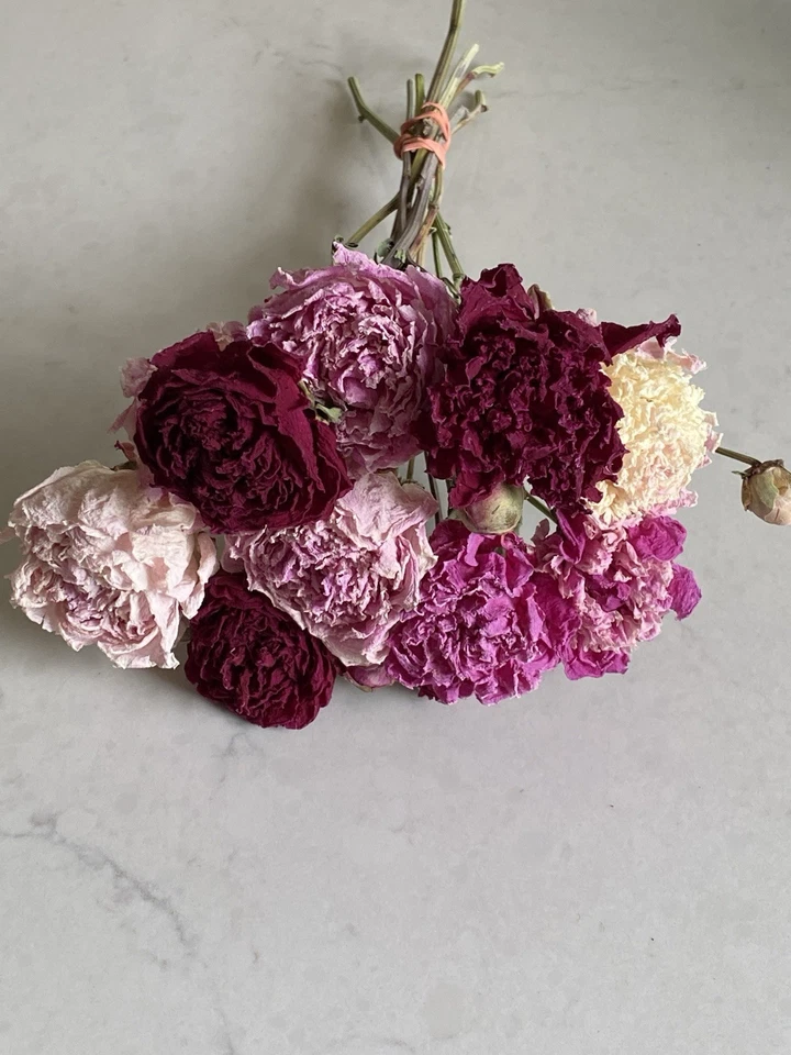 PEONIES * DRIED FLOWER Bunch BOUQUET Bundle USA Grown * Assorted PEONY Mix Auc#1 - Image 4 of 4