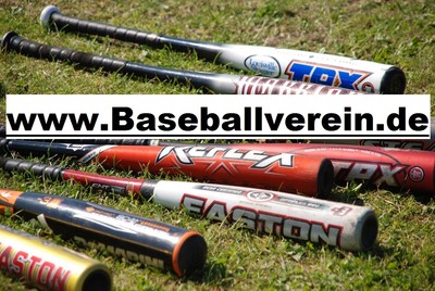 Exact-Match-Keyword-Domain     Baseballverein.de     Verein, Portal, Blog, Sport