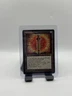 MTG, Apocalypse Chime $3 ORDER MIN LP Homelands Regular