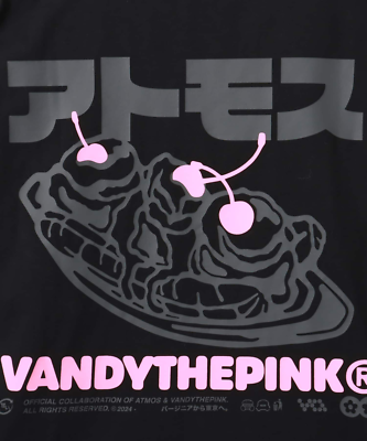 Vandy The Pink x Atmos Japanese Logo L/S Tee Black | eBay