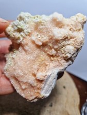 Minerale@ Zolfo Cristalli Su Gesso Rosa Raro Collezione 9,5 Cm Cetine Siena 