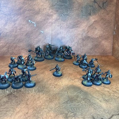 Drakerys - Menschen   Imperium  - Pro Painted  - Don t Panic Games