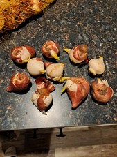 10 Double Late Purple Black Tulip Flower BULBS