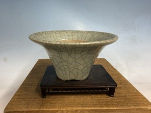 kaedebonsai-en | eBay Stores