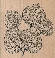 Veined Leaves 2 1/2 x 2 1/2" Rubber Stamp, Plants Stamp, Nature Stamp