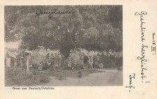 AK Deutsch-Ostafrika DOA Mangobaum gel. Dar-es-Salaam  1901
