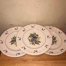 LOT OF 3 KENSINGTON STAFFORDSHIRE IRONSTONE ENGLAND WAYSIDE 1821 DINNER PLATES