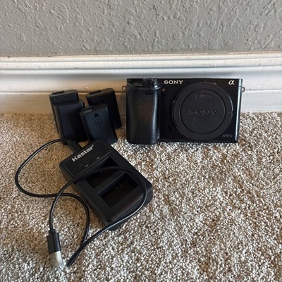Sony Alpha A6000 24.3MP Mirrorless Camera Body Black EVF/Viewfinder Issue