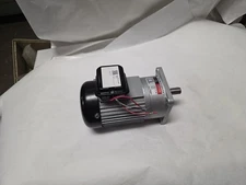 Luyang J220V18-300-21.4-A(P1) Gear Motor 21.4:1 Ratio