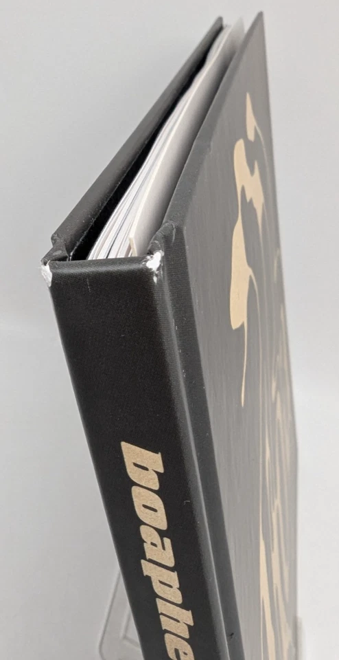 Boaphenia by Phillip Boa and the voodooclub 30th anniversary edit. "sehr gut" - Bild 4 von 4