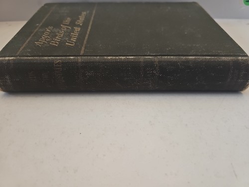 1898 antikes Buch Apgars Vögel der Vereinigten Staaten östlich der Rocky Mountains - Bild 3 von 8