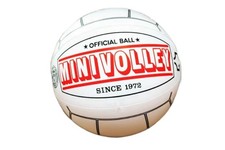Mini Volley Ball Official Ball