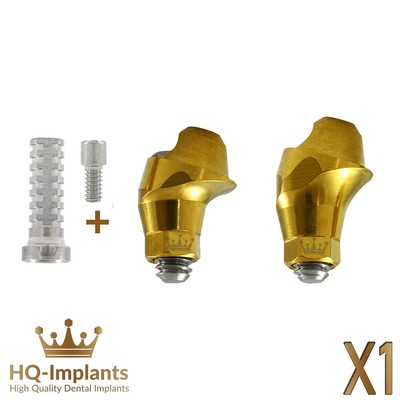 Angular 17° Multi Unit 1.6 Titanium Sleeve Set Conical Connection RP 2.65mm