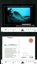 MENTADENT INSIDER - WHERE OTHERS DON'T COME - CARD COLLECTION N°3 - 56932