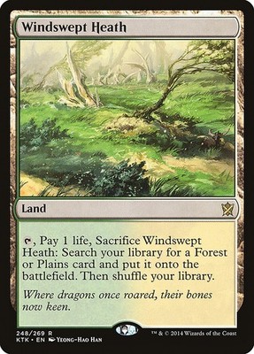 MTG Magic the Gathering Windswept Heath (248/282) Khans of Tarkir LP