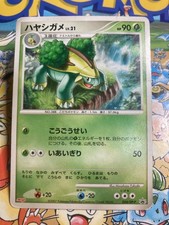 Grotle 034 DP P carta