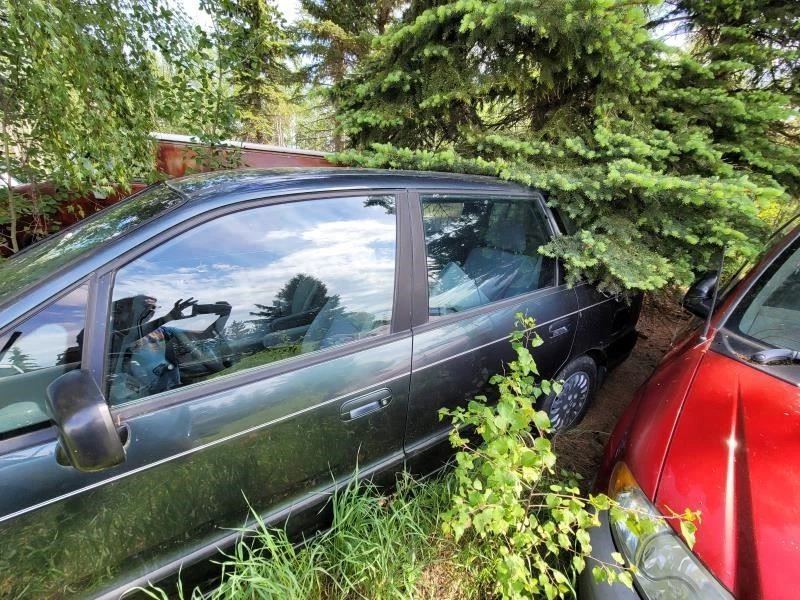 Driver Left Front Door Glass Fits 96-99 ISUZU OASIS 267882 - Image 3 of 4