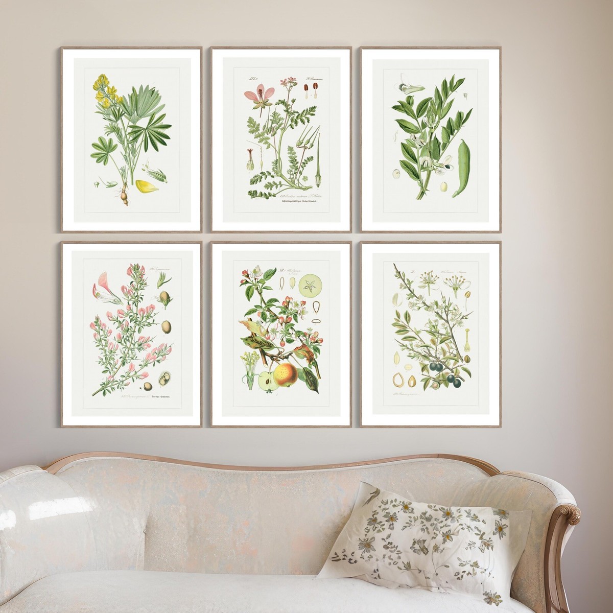 BOTANICAL ART 【import品】 Set of 6 Antique Repro Botanical ART PRINTS Picture Home