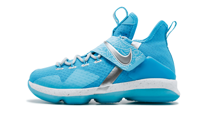 Nike Lebron 14 XIV HWC GS 6Y Rick Flare Nature Boy WWE WWF Blue
