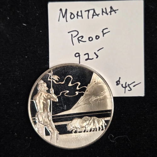 Montana Indian Buffalo Mountain .925 Sterling Proof  40mm