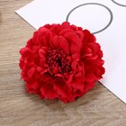 Foto 17 di 25