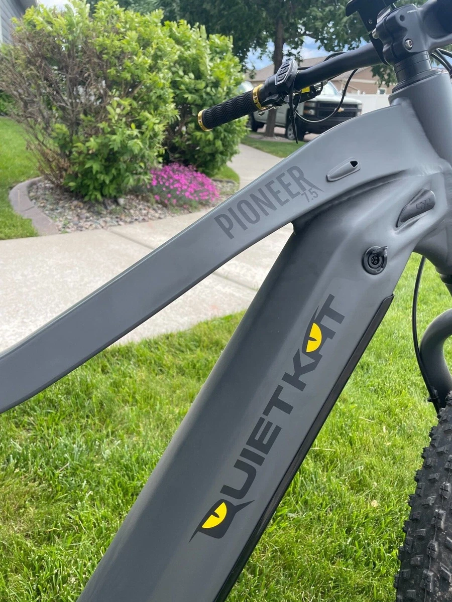 Quiet cat sales bike ebay