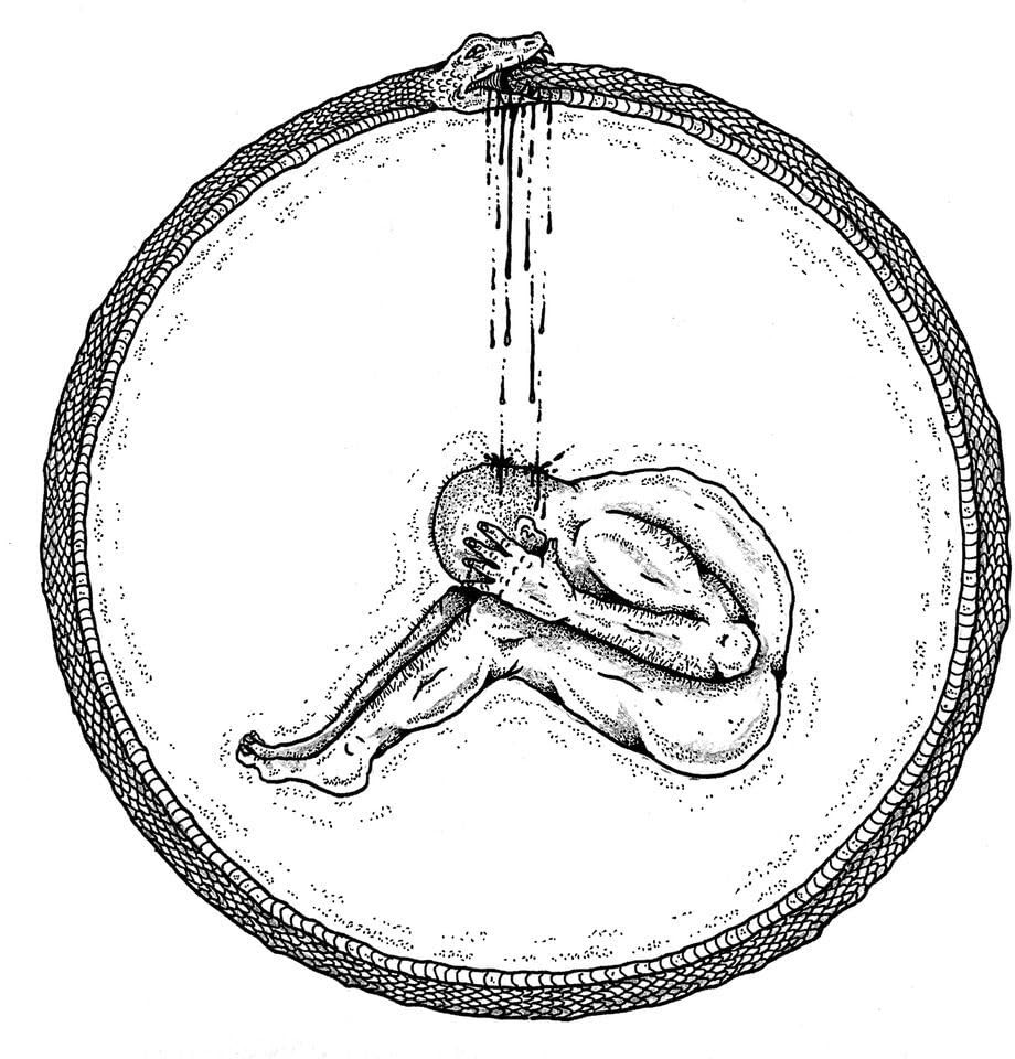 Caveman Somethings Got To Give (Винил) (ИМПОРТ ИЗ Великобритании)