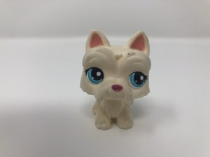 lps scottie