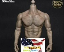 1/6 Muscular Male Figure Body Strong Durable WORLDBOX For Wolverine 12" ❶USA❶