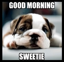 Good Morning Sweetie Cute Dog Puppy Make you Smile Start Your Day Right! MAGNET