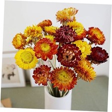 Dried Flowers Bouquet Natural Daisy - 40 PCS Multicolor 40 Pcs-multi Color