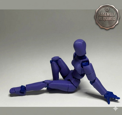 Maiden 13 | SPECIAL EDITION Dummy 13 Action Figure | 3D Printed Articulated Toy