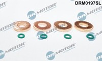 Dr.Motor Automotive DRM0197SL Seal Kit, Injector Nozzle For CitroËN Fiat Peugeot
