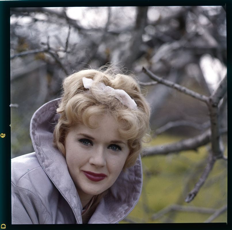 Lot of (3) 1960s CONNIE STEVENS Original Photo Transparency