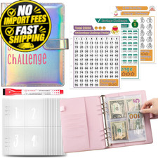 100 Envelope Savings Challenge Binder, 6.88 inches x 9.17 inches, silver pink