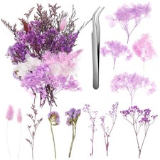 Real Dried Flowers, Natural Dry Flowers Mixed Pressed Purple