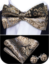 Paisley Striped Bow Tie for Men Silk Pre-Tied Bowtie Pocket Square