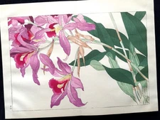 KONAN European Flowers Woodcut album KUSABANA ZUFU SE Woodblock print Book #5