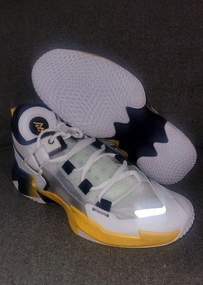 Nike Air Jordan Westbrook Why Not 10.5 Michigan PE Player Exclusive PROMO - RARE