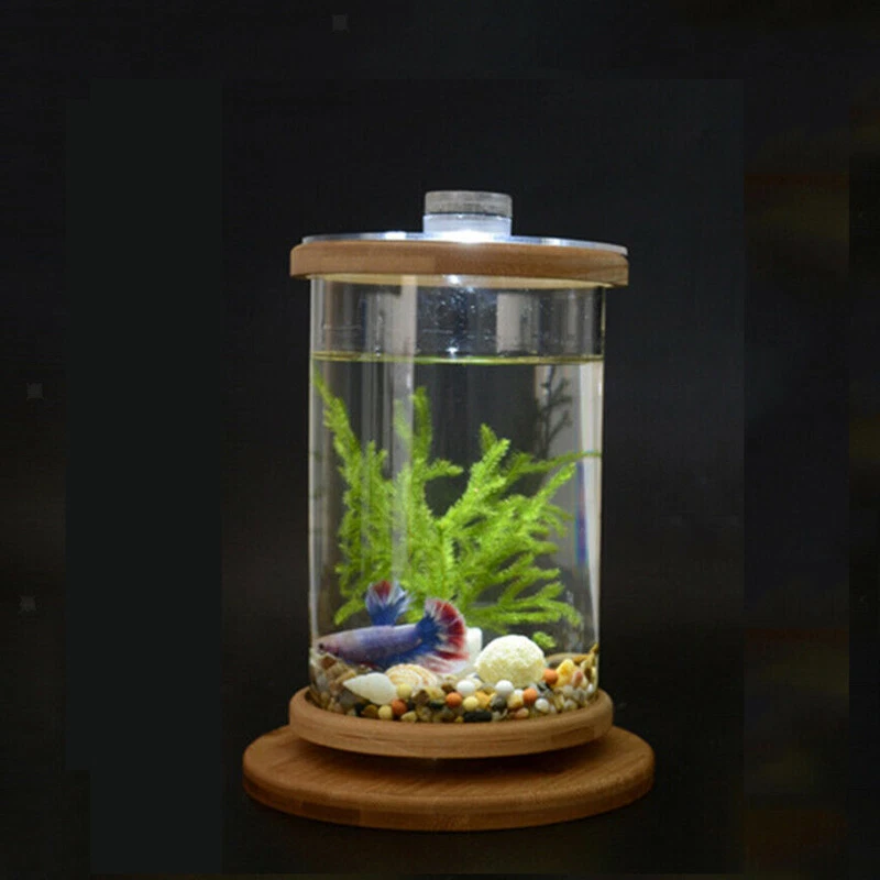 Pecera dorada giratoria escritorio acuario Betta tanque oficina adorno Foto 2 de 4