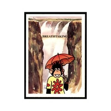 1997 PG Tips Wonderful World of Kevin Tipps The Victoria Falls #20