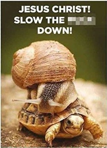 Gadget - Half Moon Bay: Retro Humour - Slow Down (Magnete) -D- Half Moon Bay-image