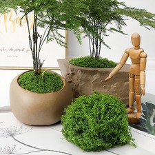 30-100g Artificial Green Moss Fake Moss Micro Landscape Garden Party DIY Decor