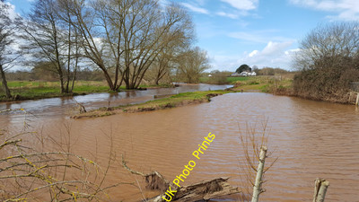 Foto 12x8 River Tone bei Roughmoor Taunton\/ST2324 Nach starkem Regen. c2016