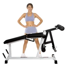 Deltech Fitness Leg Extension/Leg Curl Machine (DF807)
